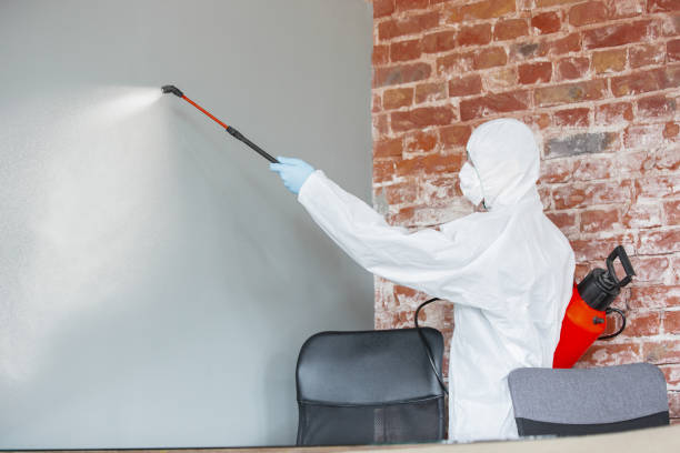 Best Industrial Mold Remediation  in Longboat Key, FL