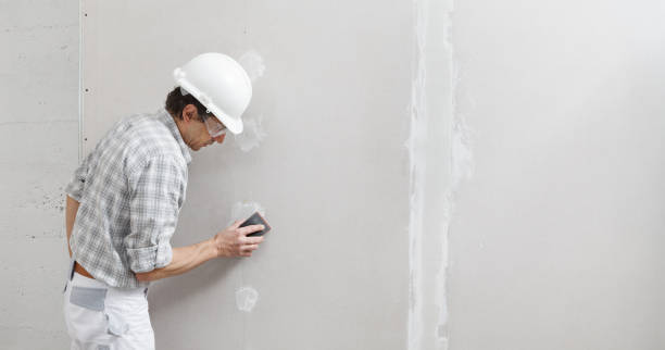 Best Commercial Mold Inspection  in Longboat Key, FL