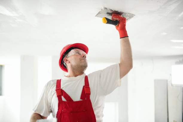 Professional Mold Removal in Longboat Key, FL