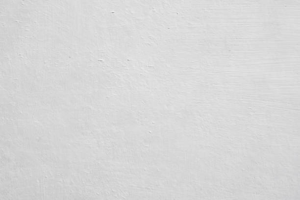Best Basement Mold Removal  in Longboat Key, FL