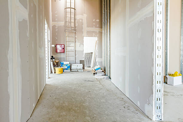 Best Mold Odor Removal Services  in Longboat Key, FL