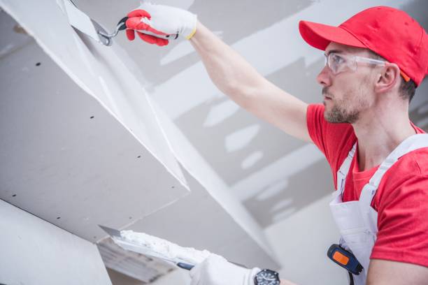 Best Commercial Mold Inspection  in Longboat Key, FL