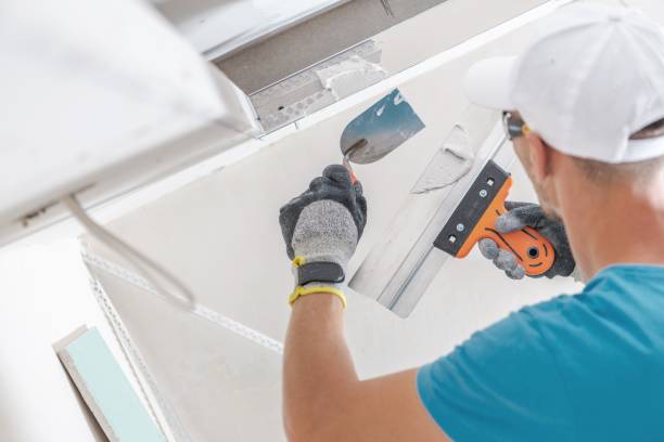 Best Water Damage & Mold Remediation  in Longboat Key, FL